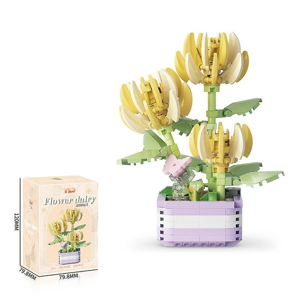 Succulent Building Set, Succulent Bonsai Botanical Decor Collection Building Kit, Build a Succulents Plants Display Piece for Home or Office, Ideal Gi