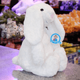 thumbnail image 4 of Conejo de Peluche Roger 40 cm Premium PELUCHERIA, 4 of 5