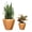 Light Brown, variant on 2-Pack 10 in.Dark Wood Plastic Self-watering Planter Pot