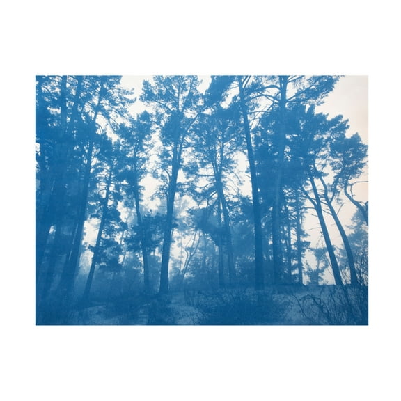 Canvas Wall Art - Christine So 'Sheltering Trees' Wall Art for Living Room, Bedroom, or Office Décor by Trademark Fine Art - 19 x 14 Inches