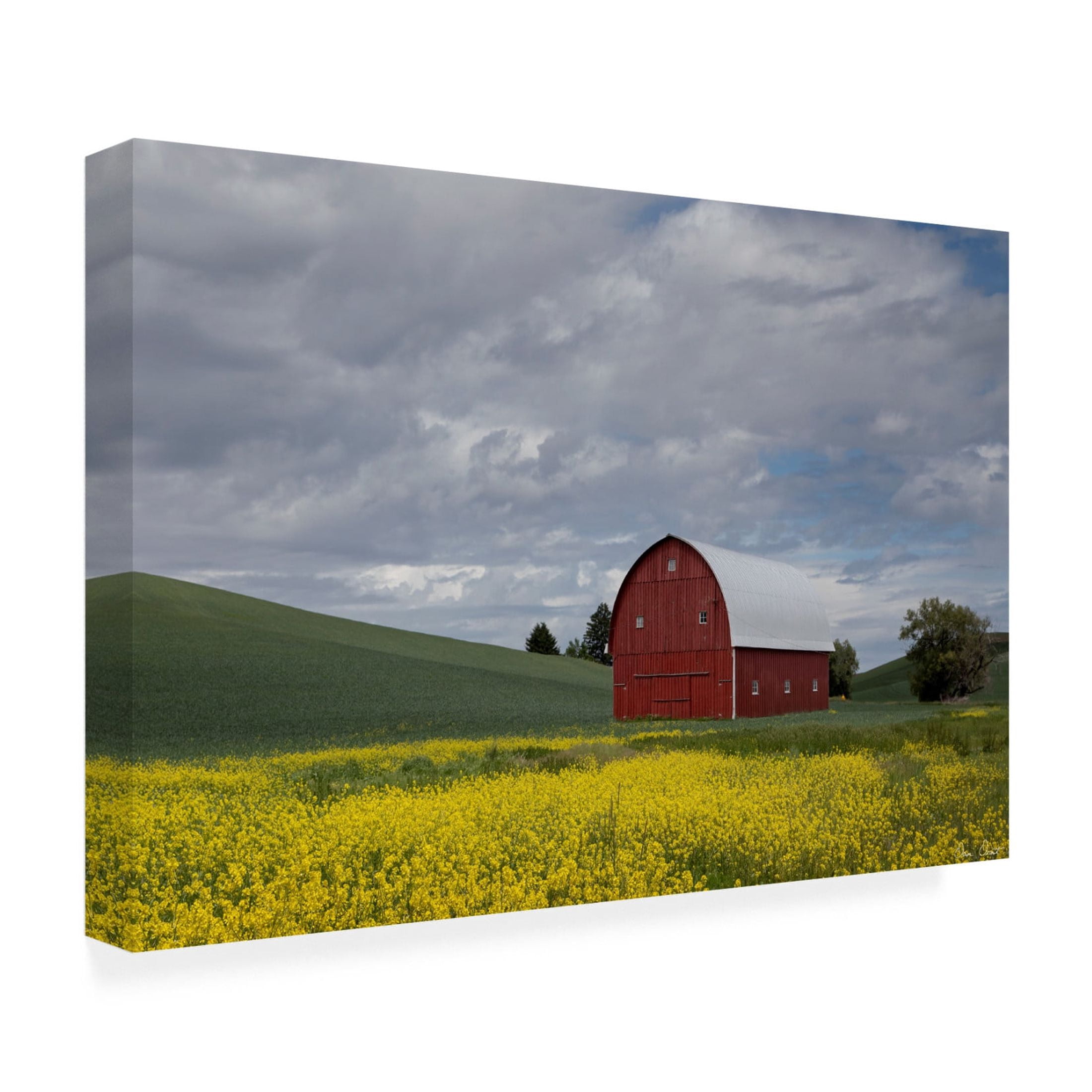 Trademark Fine Art David Drost Palouse Barn and Flowers I Canvas Wall Art