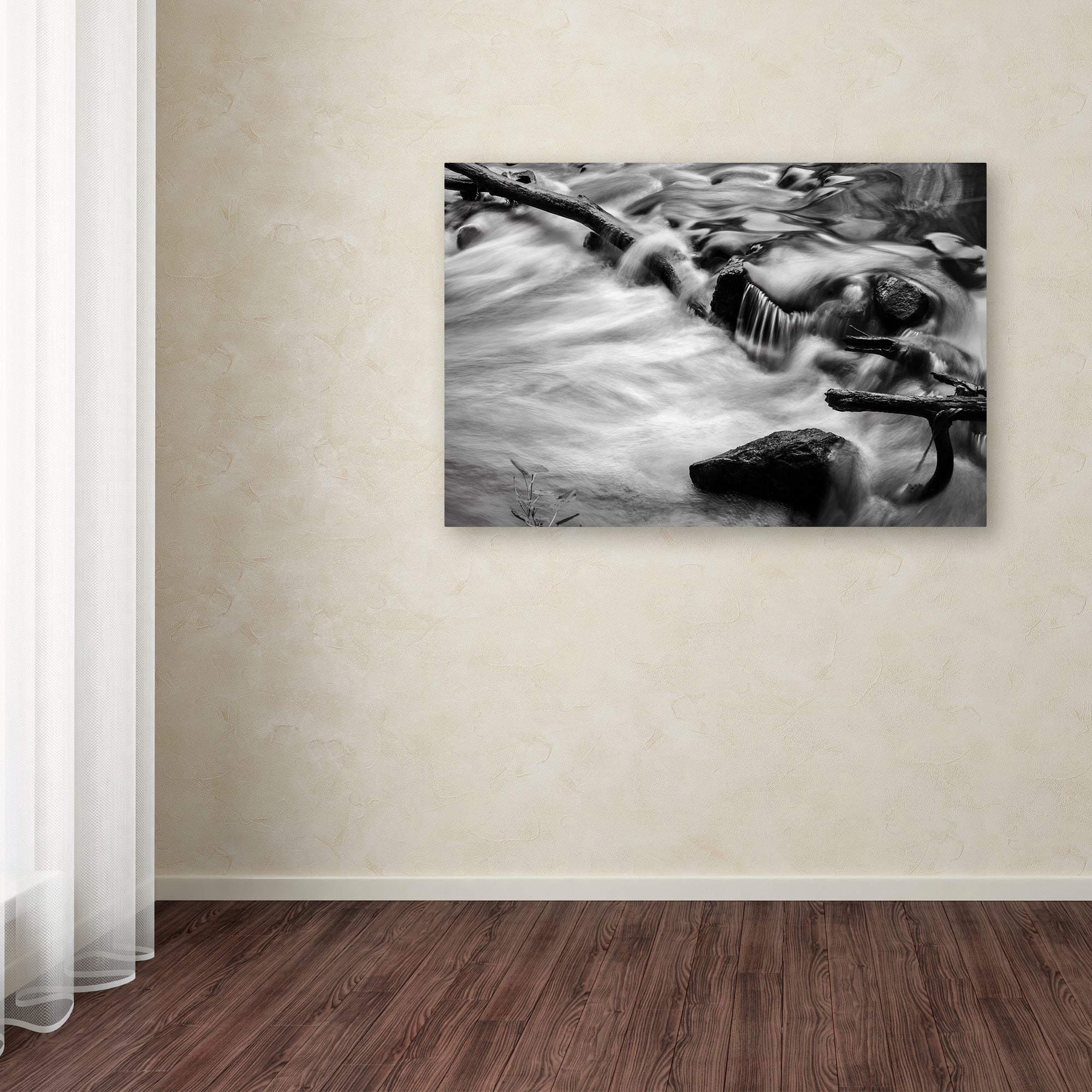 Trademark Fine Art "Black River" Canvas Art by Jason Shaffer