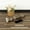 Multicolor, variant on UMIGGEE Grey Peel And Stick Flooring 15.7-in x 118.11-in/12.8 Sq.Ft Self-Adhesives Vinyl Wood Grain Flooring For Living Room Kitchen Bedroom Easy DIY Install Home Decor