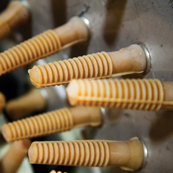 Yardbird Pluckers Replacement Rubber Fingers - Pack Of 10