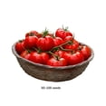 thumbnail image 3 of Grand Lot de Graines de Jardin de Tomates Rouges, Trousse de Germination de Légumes Patrimoniaux, Démarrage de Culture Autosuffisant pour la Récolte de Plantation à l'Extérieur et à la Maison, 3 of 6