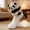 B, variant on 3D Animal Hugging Crew Socks, Knit Warm Non-Slip Floor Socks with Plush Doll Decor for Women Men, 10.63 Inch (1 Pair)