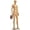 Skin, variant on Female Mannequin - Premium Quality Construction, Detailed Dimensions for Realistic Proportions, Sturdy, Durable, and Secure, Versatile Display for Various Clothing Styles, Gold