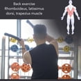 thumbnail image 3 of Corde de Combat Portable, Poignée Antidérapante Exercice Muscle Confortable à Tenir Cordes d'Entraînement pour Gym à Domicile, 3 of 7