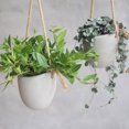thumbnail image 3 of Kearding Florero de plantas con tecnología cultivable en agua Forma de escaparate Verde pequeño Maceta de impermeabilización interna blanca Type2 NO2, 3 of 6