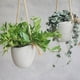 thumbnail image 5 of Bearachild Maceta a prueba de agua para plantas suculentas El jarrón impermeabilizante interno feliz e hidratado se puede colocar color cemento Jardín y Patio color cemento 10 cm * 9 cm * 10 cm, 5 of 6