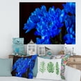 thumbnail image 2 of Designart ' Blue Chrysanthemum Flowers On Black Backround ' Traditional Canvas Wall Art Print, 2 of 3