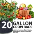 thumbnail image 6 of Garnen [20 Gallon] Garden Grow Bags (5 Packs) Vegetable/Flower/Plant Growing Bags Heavy Duty Thickened Nonwoven Fabric Planter with Reinforced Handles, 6 of 8