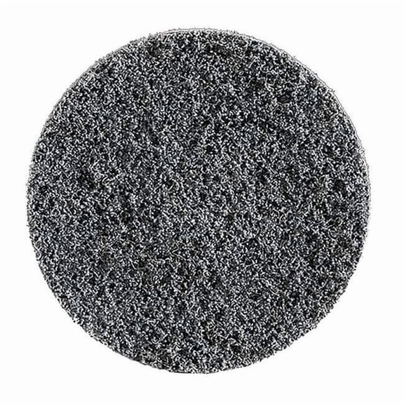 Merit Quick Change Disc,3In,40G,Nylon 08834167823
