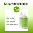 thumbnail image 3 of Tea Tree Shampoo and Conditioner Set - Sulfate Free Clarifying Shampoo and Conditioner for Dry Damaged Hair Care with Australian Tea Tree Oil for Hair - Complete Dry Scalp Treatment for Men and Women, 3 of 10