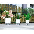 thumbnail image 3 of Transparent Self-Watering Plant Flower Plastic Pot Planter Home Garden Decor, 3 of 6