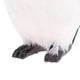 thumbnail image 5 of Modelo Animal de Simulación Materiales Didácticos Muestra Animal, 5 of 8