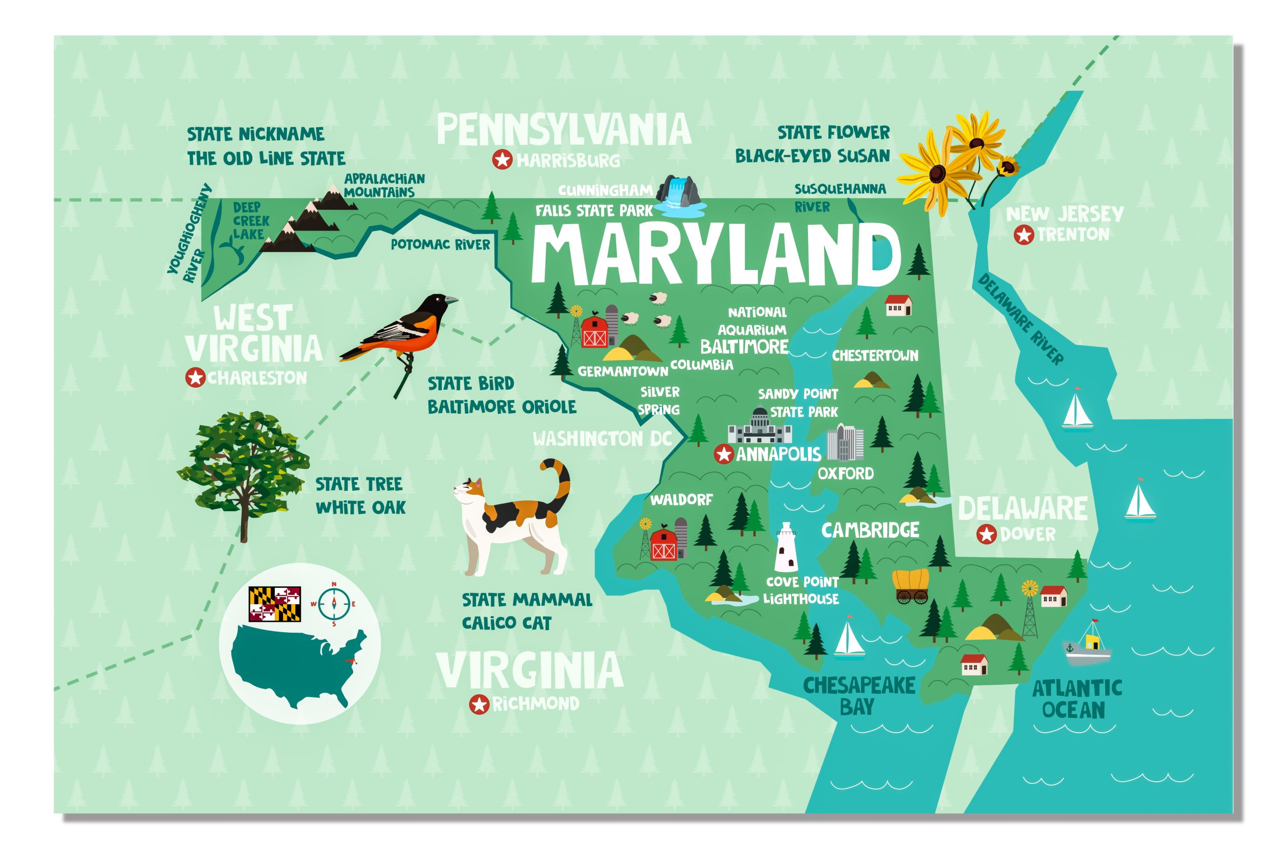 Maryland State Map Wall Hanging Tapestry Home Classroom Poster 60in x 