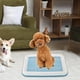 thumbnail image 3 of Bandeja de entrenamiento para ir al baño para perros, bandeja de malla para entrenamiento, soporte para almohadillas para orinar para cachorros, entre Azul, 3 of 9