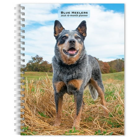 Blue Heelers | 2026 6x7.75" Spiral-Bound Weekly Engagement Planner | BrownTrout
