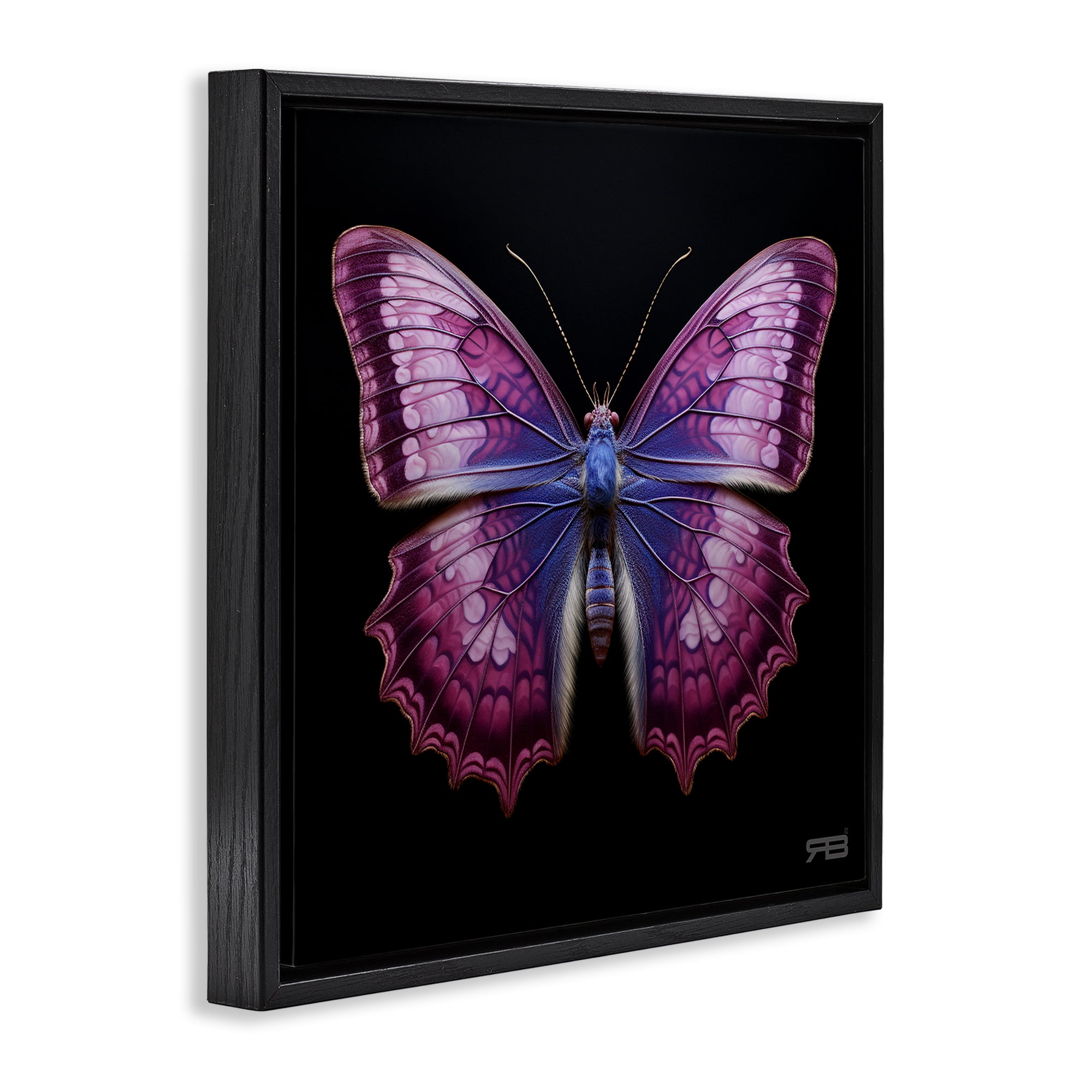Stupell Industries Vivid Purple Butterfly Animals & Insects Painting Black Floater Framed Canvas Art Print Wall Art, 18 x 18