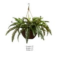 thumbnail image 6 of Pure Garden Boston Artificial Fern Plant Hanging Natural in Green, 6 of 6