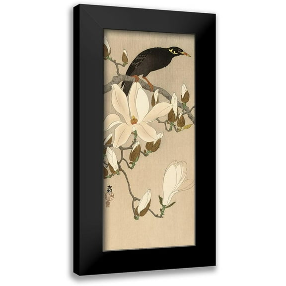 Koson, Ohara 8x14 Black Modern Framed Museum Art Print Titled - Myna on Magnolia Branch, 1900-1910