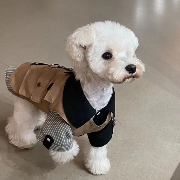 Adorable Pet Clothes for Cats & Small Dogs - Charming Spring & Autumn Wear