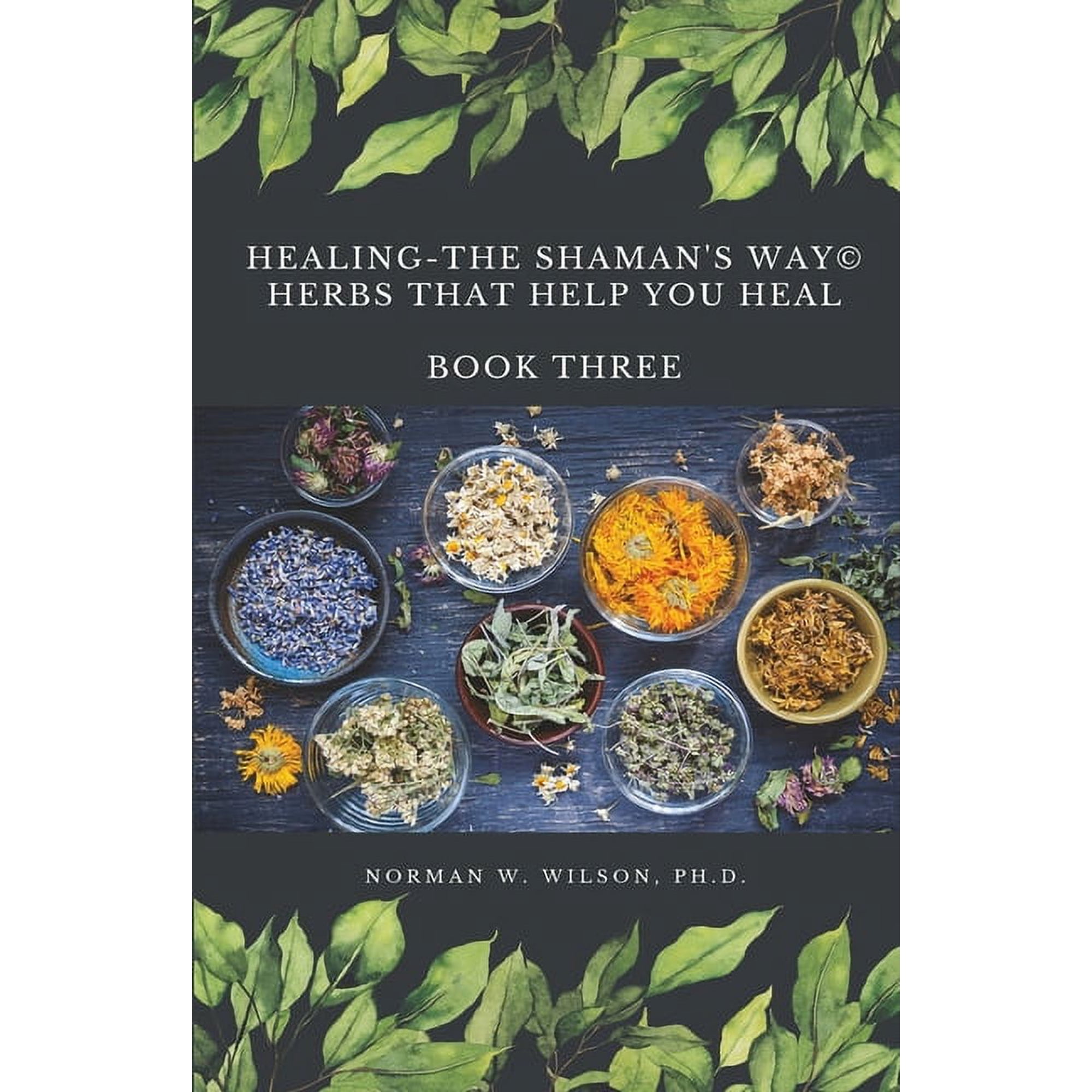 Healing The Shaman's Way - Book 3 - Using Herbs, (Paperback)