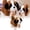 7.08 Inch, variant on Cute Saint Bernard Plush Stuffed Animal Soft Cuddly Fluffy Dog Toy with Tassel Collar Realistic Puppy Companion Doll Cushion for Home Decor Birthday Gifts Kids Adults