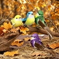 thumbnail image 6 of 12Pcs Artificial Bird Clip Ornaments, Mini Bird Figurine Clips, Decorative Branch Bird Clips, Fake Bird Craft Decorations, Clip On Bird Ornament Set for Floral Wreath Garden Wedding Home DIY Decor, 6 of 7