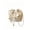 White, variant on Women's Floral Jacquard Pearl Handle Drawstring Bucket Bag Chain Crossbody Purse Shoulder Handbag