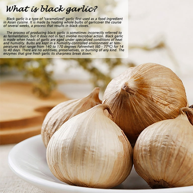 Roots & Harvest Black Garlic Multi Purpose Fermenter