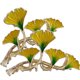 thumbnail image 1 of unbranded 2Ud Clips De Garras Para Mujer Con Estilo Hoja De Ginkgo Para Normal Y, 1 of 6