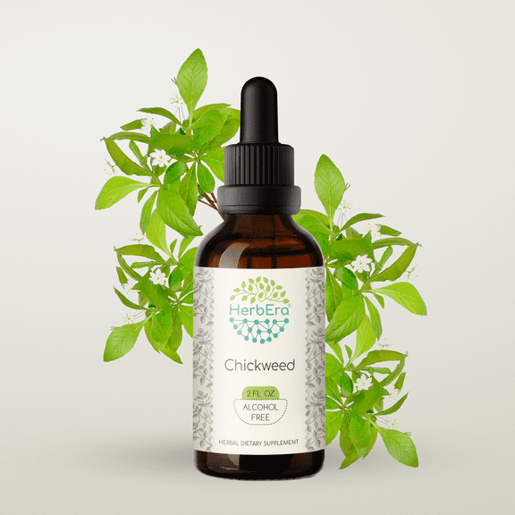 Chickweed Alcohol-FREE Herbal Extract Tincture, Super-Concentrated Organic Chickweed (Stellaria Media) Dried Above-Ground Parts 2 oz