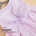 thumbnail image 2 of UOSIA Formal Dog Princess Dress for Small Dogs Girl Cat Puppy Tutu Tulle Skirt for Wedding, 2 of 6