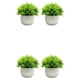 thumbnail image 4 of Plantas de simulación en maceta Cateissary 2 piezas decoración del hogar doble verde 15 cm, 4 of 6
