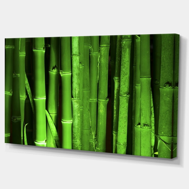 Designart - Forêt de Bambous Verts - Tableau Floral sur Toile