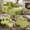 Green, variant on 60'' Oversized Chaise Lounge Chair Sofa Bed, Corduroy Upholstered Boneless Sofa Bed, Deep Seat Sleeper Couch Bed Reading Chairs, Cloud Sofas Couches for Living Room, No Assembly Required (Yellow)