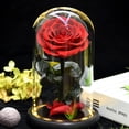 thumbnail image 4 of Whataatahia Decoración de flores eternas, base de cubierta de cristal rosa con luces, regalos navideños, regalos de cumpleaños para amigos y familiares, 4 of 5