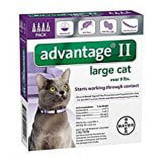 Advantage Flea Control for Cats and Kittens Over 9 lbs 4 Month Supply - image 3 of 3