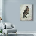 thumbnail image 3 of Trademark Fine Art 'Parrot Jungle I' Canvas Art by John Butler, 3 of 4