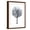 Brown Frame, variant on Art.com Midnight Elm I Art Print by Grace Popp, 16" x 24"