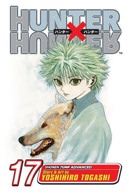 Hunter X Hunter Hunter X Hunter Vol 33 33 Series 33 Paperback Walmart Com