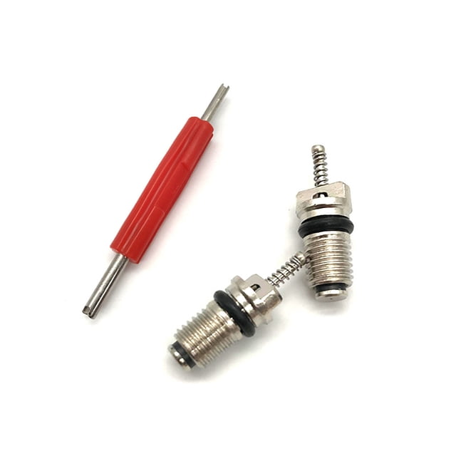 Riwesomey Núcleo de válvula de aleación de aluminio para aire acondicionado de coche, herramienta de reparación de válvulas A/C, accesorios de Automoción decorativa y accesorios 2 piezas Riwesomey VI017493-01