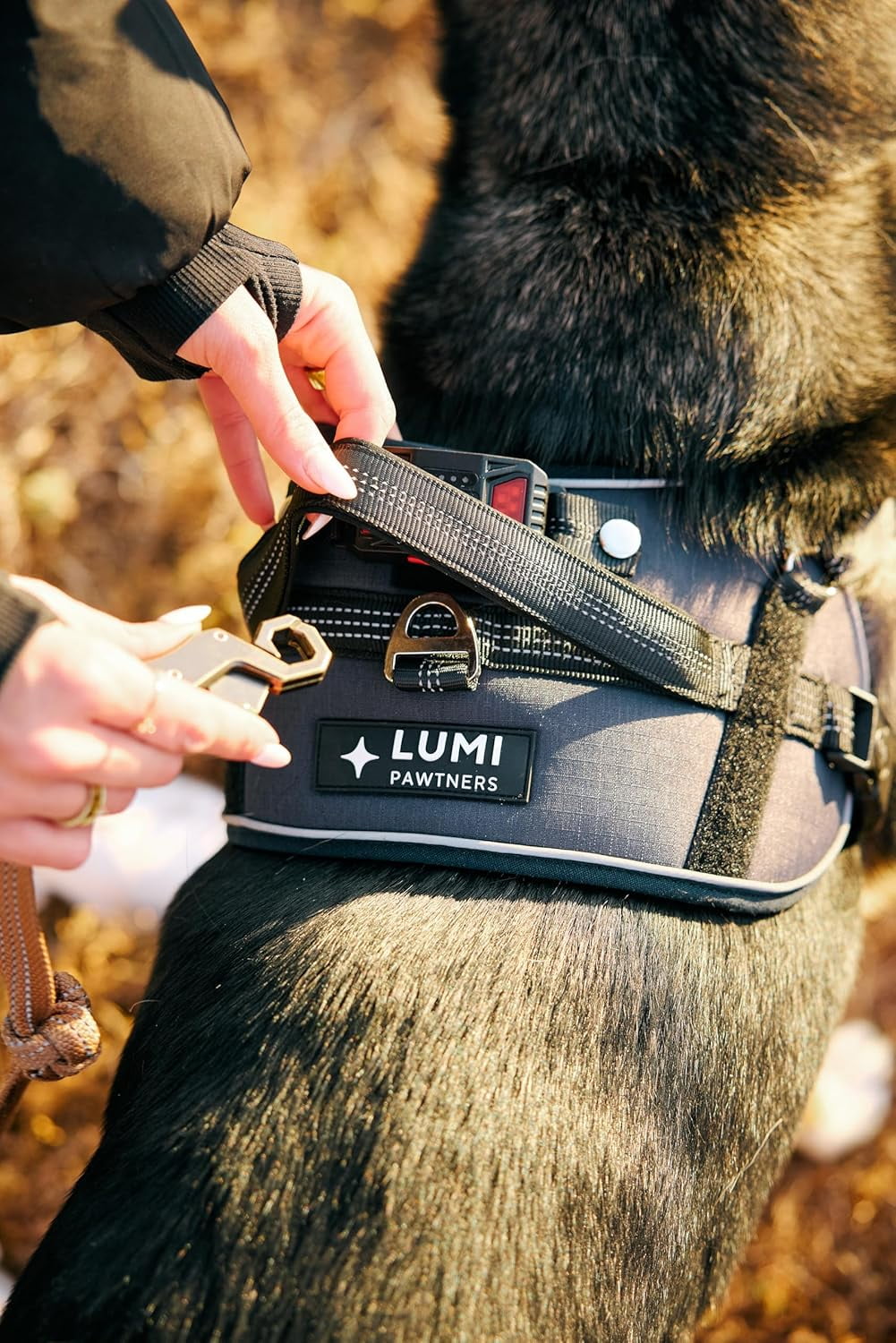 Lumi One LED Dog Harness – High Visibility Light Up Dog Harness for Night Walks – 1000 Lumen LED Dog Vest with Rechargeable Battery, Adjustable Fit & Reflective Dog Apparel (BLACK, EXTRA LARGE)
