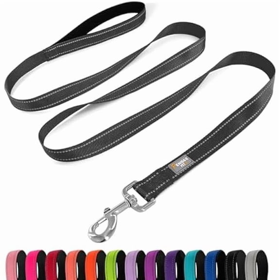 Eryueer Dog Leash 6 FT Padded Handle Nylon Reflective Dogs Leashes for Small Dogs Black