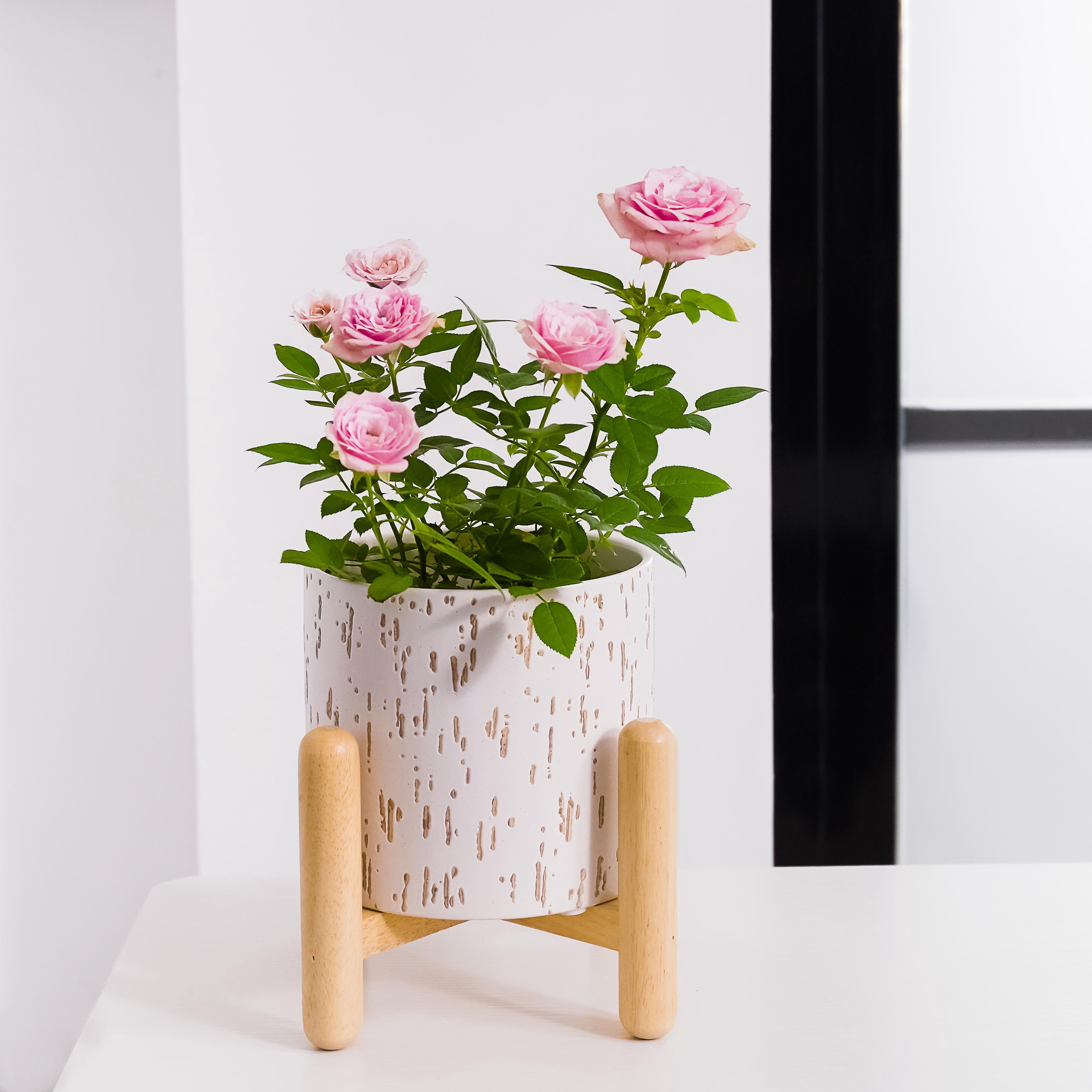 Better Homes & Gardens 6"D x 5.5"H Ceramic & Wood Planter & Stand Set, White
