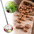 thumbnail image 5 of Acorn Picker Upper Nut Wizard Nut Gatherer, Acorn Picker Upper, Pecan Picker Upper - Side Opening Dump, Apply to Acorns, Pecans, Buckeyes, Hickory Nuts, Nerf Balls, Golf Balls, 5 of 8