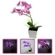 thumbnail image 2 of Lámpara LED para bonsái, orquídea artificial creativa, decoración (9 cuentas LED), 2 of 6