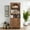 Style 2-Walnut, variant on 71" Tall Arched Bookcase with Storage, Mid-Century Modern 5-Tier Bookshelf with 2 Doors, Display Storage Cabinet for Living Room, Home Office, Walnut